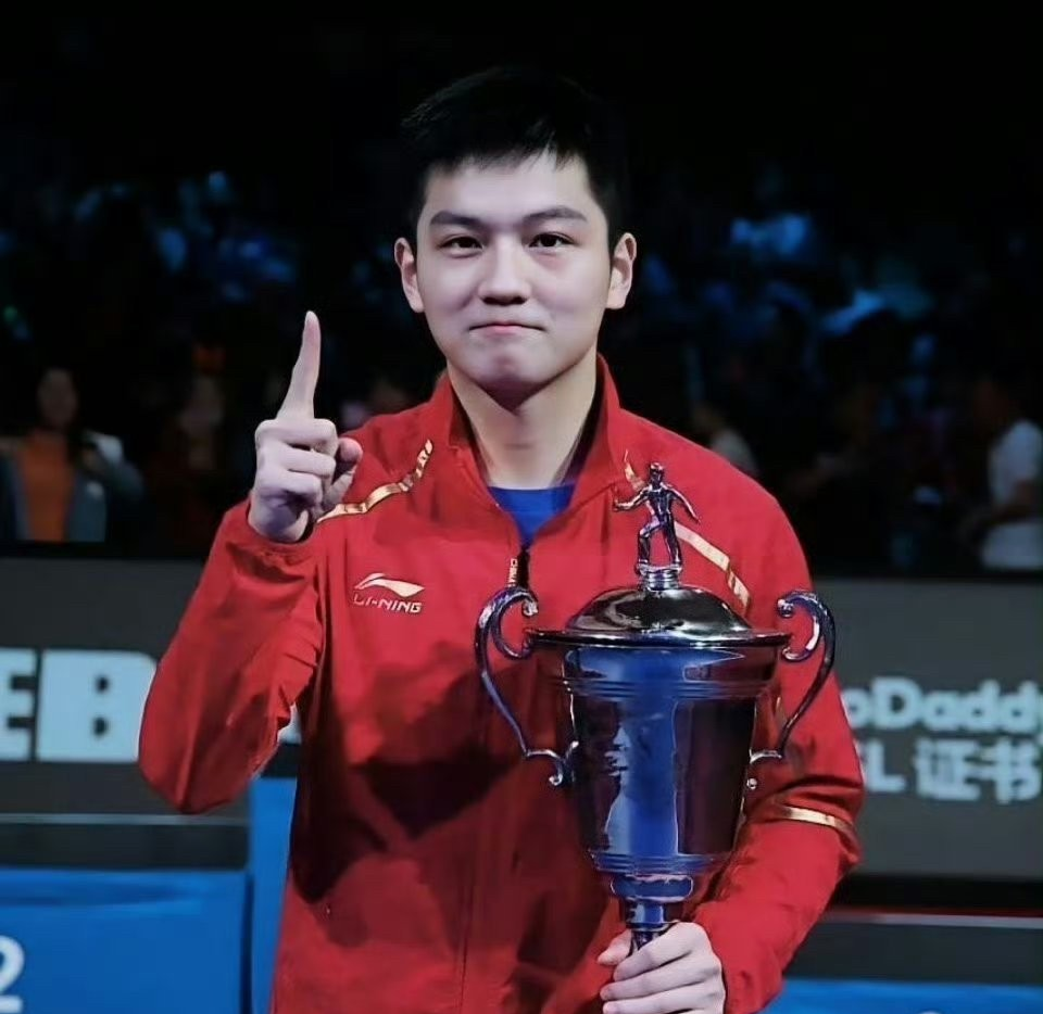 PG电子娱乐在线-法国乒乓球队绝杀比利时乒乓球队，王皓送出助攻的简单介绍