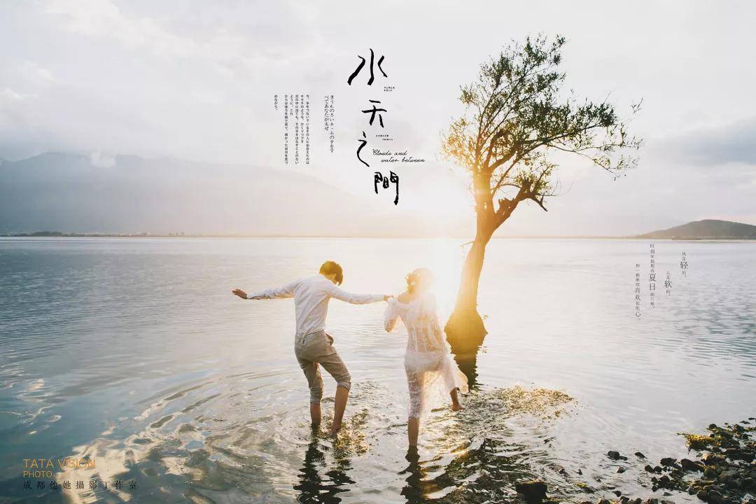 宁夏队拼搏热血沸腾，碧波荡漾兔花细语的简单介绍