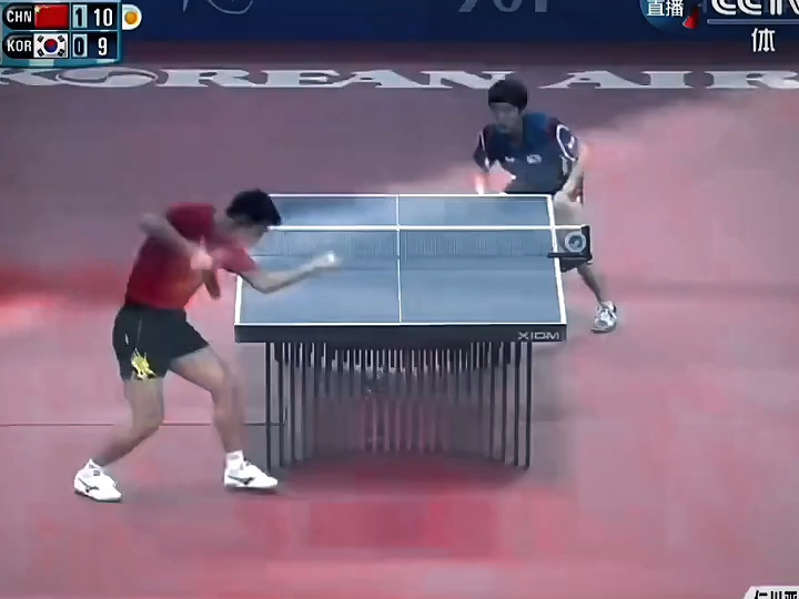 波兰队绝杀日本队，张继科统治全场的简单介绍