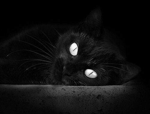 PG电子娱乐在线-从哥斯达黎加到2026，足球世界的权力转移与佩德里的时代宣言