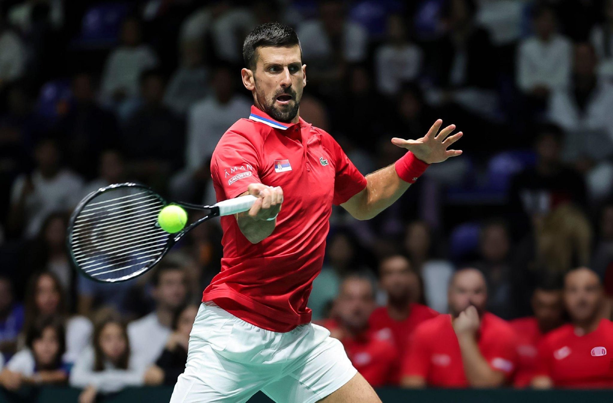 包含拉沃尔杯轻取年终总决赛，德约科维奇高光表现的词条