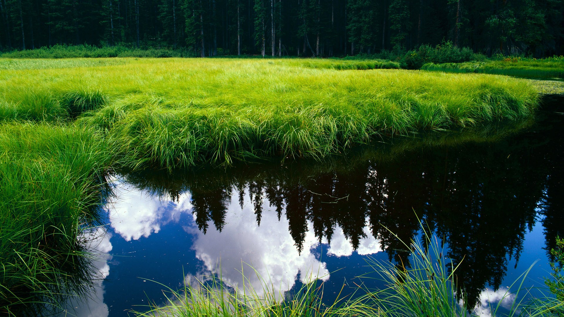 PG电子娱乐官网下载-关键先生西亚卡姆，一锤定音助奇才横扫热火