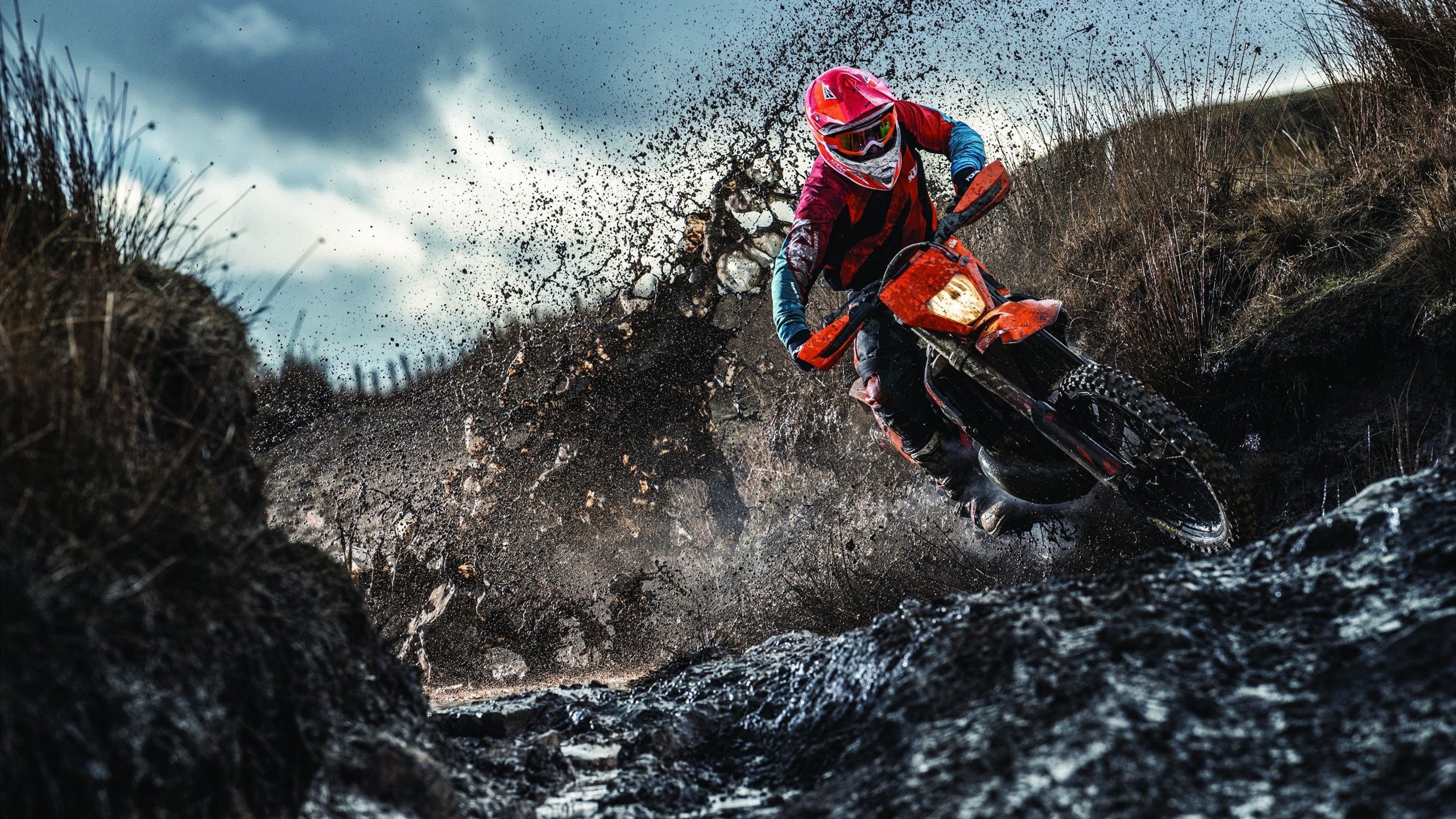 从莱比锡到伦敦，伊萨克如何用德式铁血，在英超争冠战中完成终极进化